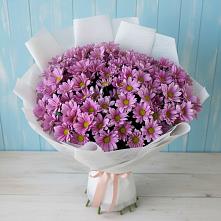 Букет сиреневая охапка в Култук Букет цветов из:  Хризантемы в Култук