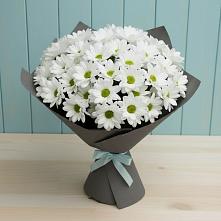 Букет белые хризантемы в Култук Букет цветов из:  Хризантемы в Култук