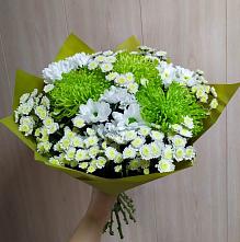 Букет цветов из:  Хризантемы #REPLACE_PRED# Култук